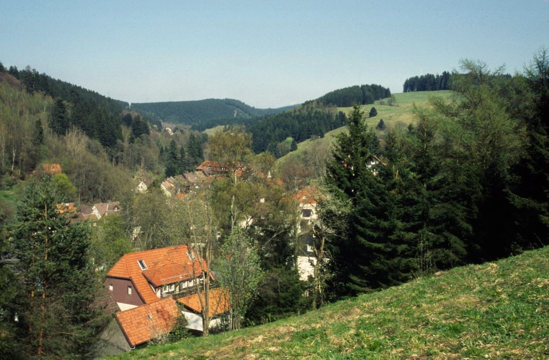 Bergwiese bei Altenau Bergwiese bei Altenau