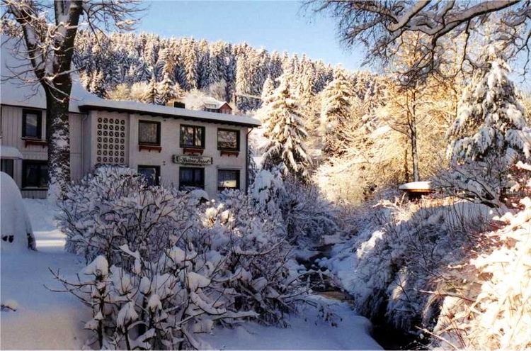 Grüne Insel im Winter Grüne Insel im Winter