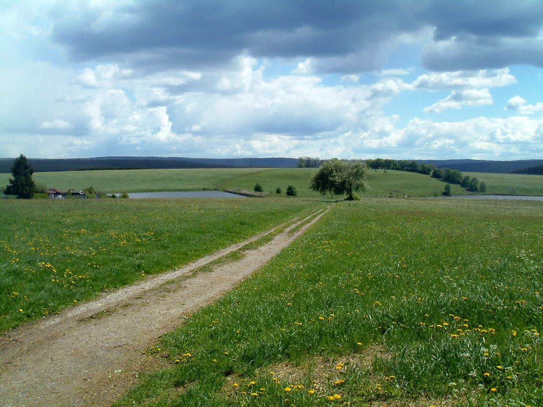 Wanderungen im Harz Wanderungen im Harz