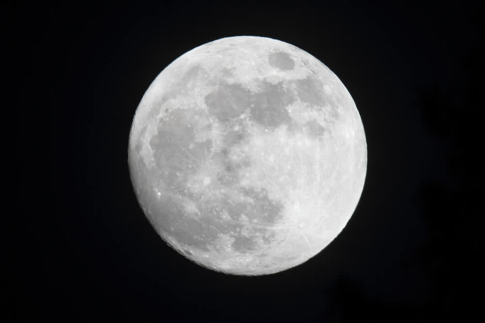 Die besten Naturphotos: Vollmond