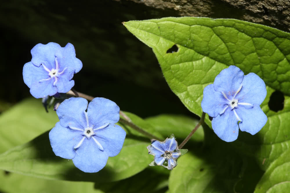 Die besten Naturphotos: 