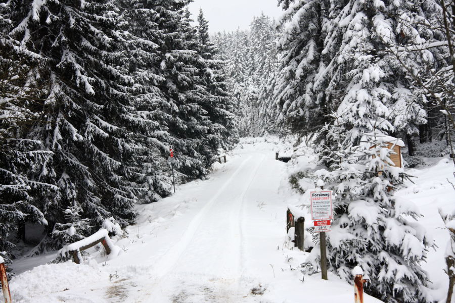 Loipenlage Winter im Harz Januar 2013