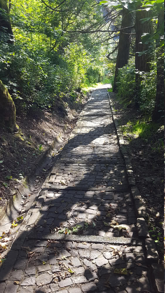 Altenau, Mühlenberg
