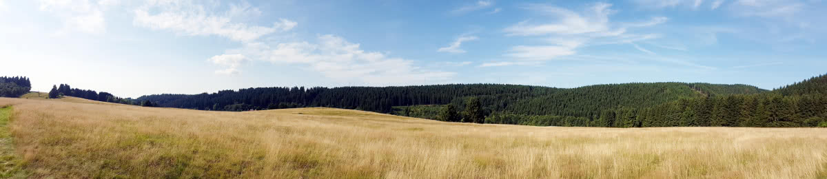 Panorama vom Mühlenberg, Altenau