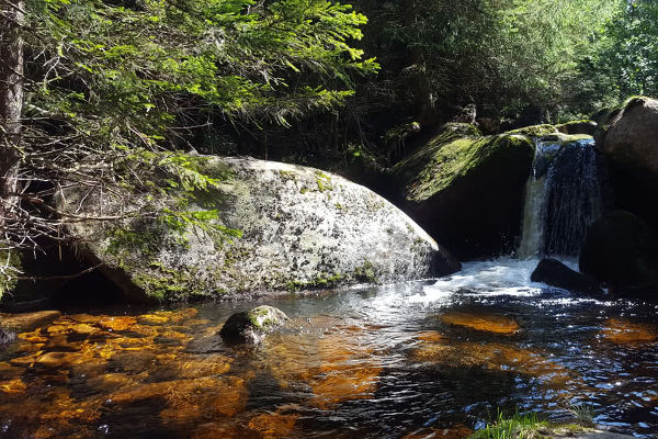 Nationalpark Harz